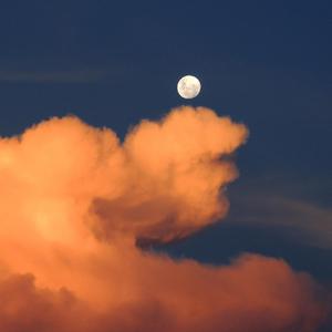 郎玉专辑《玉1》
